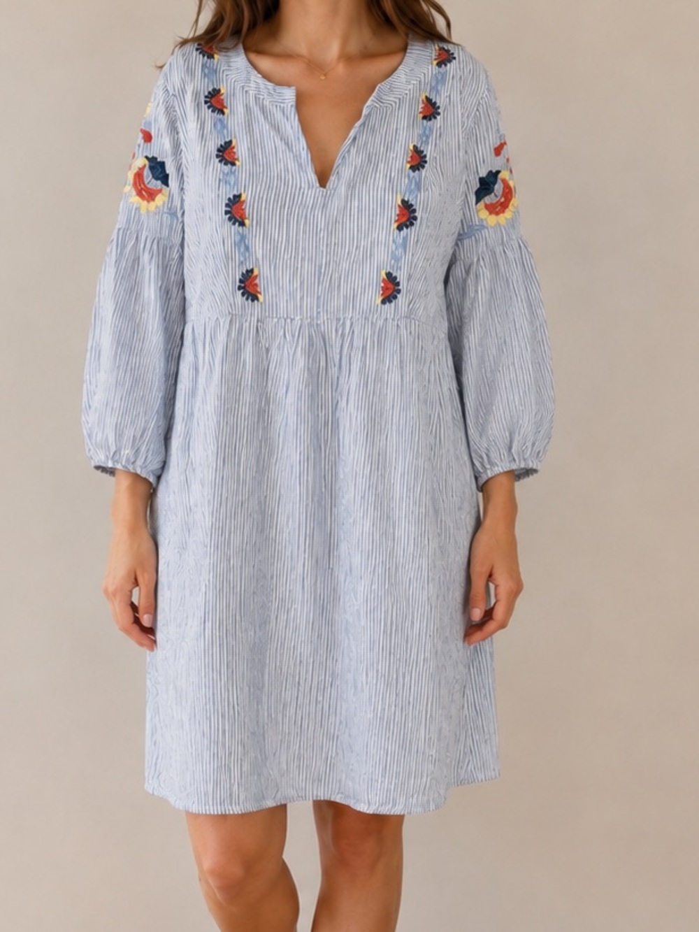 Knox Rose Light Blue Striped Embroidered Mini Dress